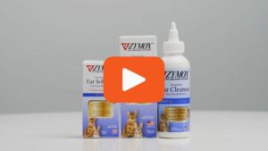 ZYMOX Enzymatic Ear Solution with 0.5% Hydrocortisone