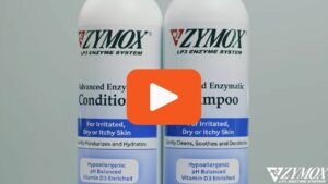 ZYMOX Advanced Enzymatic Conditioner