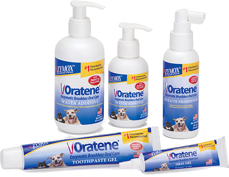 Oratene® Enzymatic Brushless Breath Freshener